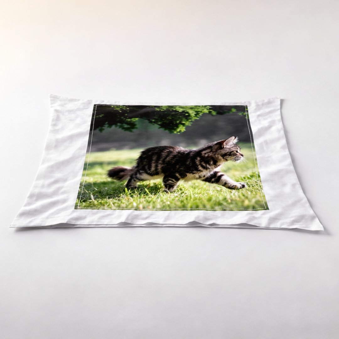 Náhledový obrázek produktu: Polštář satin